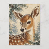 Liebreizendes Winterfawn Postkarte (Vorderseite)