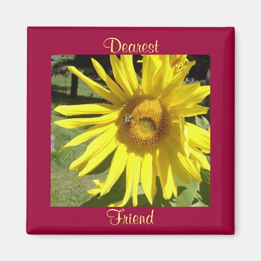 Liebste, freundliche Sonnenblume w/Bee Magnet (Vorne)