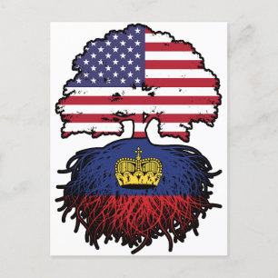 Liechtenstein American USA Vereinigte Staaten Postkarte