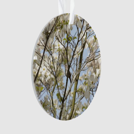 Lied im Dogwood Ornament (Vorderseite)