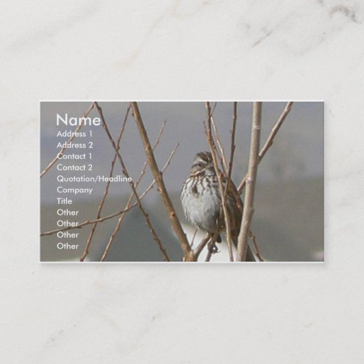 Lied-Spatz Visitenkarte (Vorderseite)