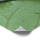 Lied von Solomon 2 10-12 Scripture Print Poster (Ecke)