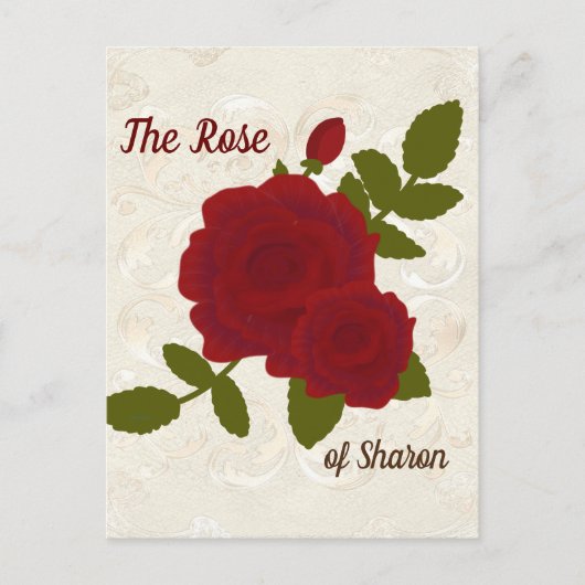 Lied von Solomon Rose Designer Postcard Postkarte (Vorderseite)