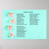 Lieder der Natur Poster (Vorne)