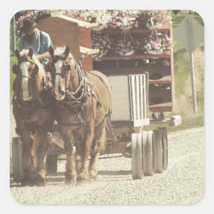 Lieferung der Amish-Blume Quadratischer Aufkleber