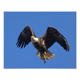 Lieferung der Waren Fotodruck