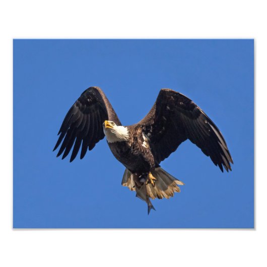 Lieferung der Waren Fotodruck (Vorne)