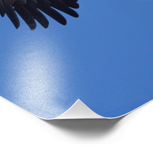 Lieferung der Waren Fotodruck (Ecke)