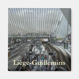 Liège-Guillemins Bahnhof Magnet