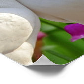 Liegen, zwei Tauben in Liebe, schöner Hintergrund, Poster (Ecke)