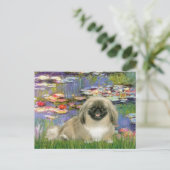 Lies 2 - Pekingese 1b Postkarte (Stehend Vorderseite)