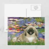 Lies 2 - Pekingese 1b Postkarte (Vorne/Hinten)