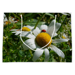 Lieveheersbeestje op margriet in de natuur. große geschenktüte