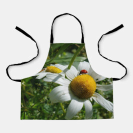 Lieveheersbeestje op margriet in de natuur. schürze