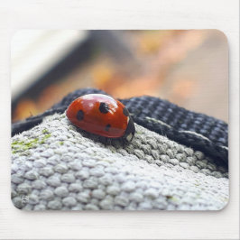 Lieveheersbeestje symbool tegen geweld. mousepad