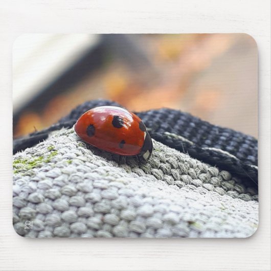 Lieveheersbeestje symbool tegen geweld. mousepad (Vorne)