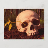 Life and Death Postkarte (Vorderseite)