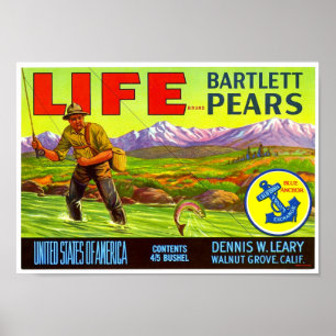 Life Brand Bartlett Birnen Kistenetikett Schmidt L Poster
