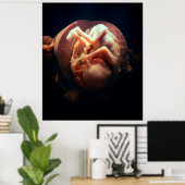 LIFE IM WOMB POSTER (Heimbüro)