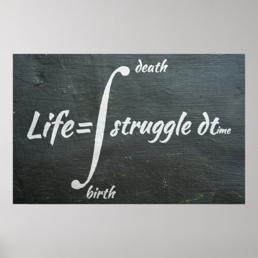 Life Integral - Math Poster (Vorne)