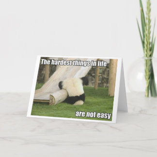 Life is Hard Panda greeting card Karte