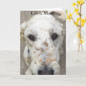 Life is Messy/Cockleburs on doodle card Karte (Gelbe Blume)