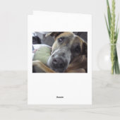 Life is Ruff. Karte (Rückseite)