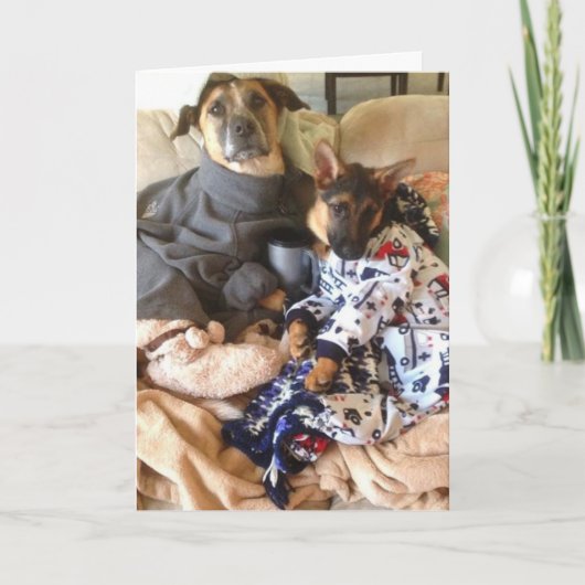 Life is Ruff. Karte (Vorderseite)