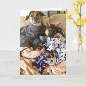 Life is Ruff. Karte (Gelbe Blume)