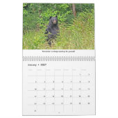 Life Lessons Animal Calendar Kalender (Jan 2027)
