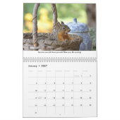 Life Lessons from Squiggy the Squirrel Calendar Kalender (Jan 2027)