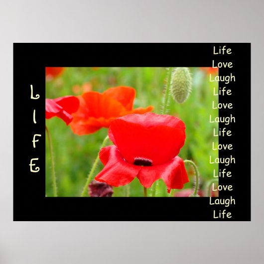 LIFE Liebe Laugh Art druckt Red Poppy Blume Poster (Vorne)