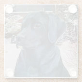 Lifelike Porträtbild des schwarzen Labrador-Hundes Glasuntersetzer (Rückseite)