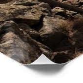 Life's path.Glossy Poster (Ecke)