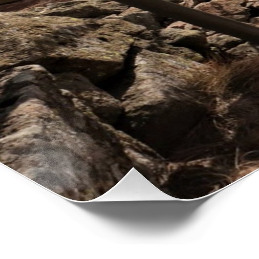 Life's path.Glossy Poster (Ecke)