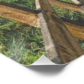 Life's path. Poster (Ecke)