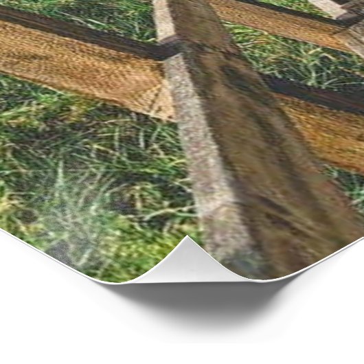 Life's path. Poster (Ecke)