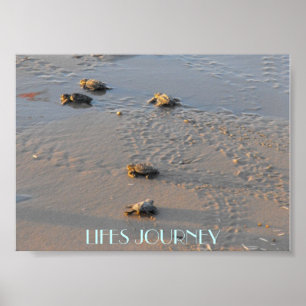lifes Reise-Meeresschildkröten Poster