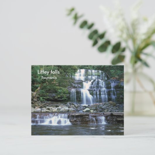 Liffey fällt, Tasmanie Postkarte (Stehend Vorderseite)