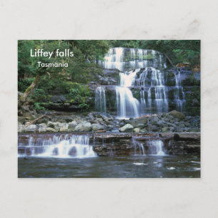 Liffey fällt, Tasmanie Postkarte