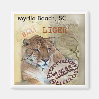 Liger Magnet - Myrtle Beach, SC