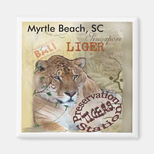 Liger Magnet - Myrtle Beach, SC (Vorne)