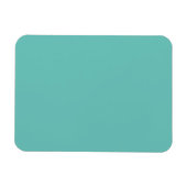 Light Aquamarin #6BC388, Halbpension Magnet (Horizontal)