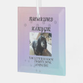 Light Beyond the Rainbow Tribute Ornament Aus Glas (Vorderseite links)