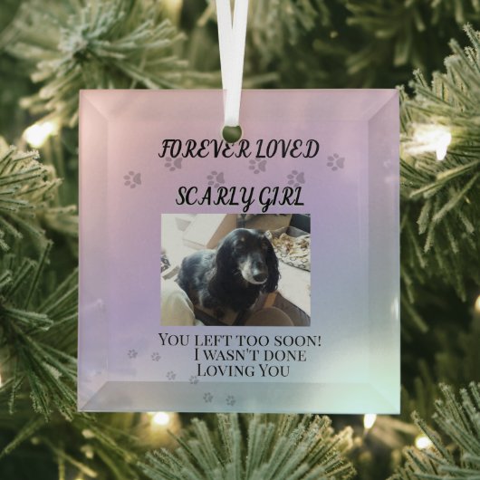 Light Beyond the Rainbow Tribute Ornament Aus Glas (Insitu)