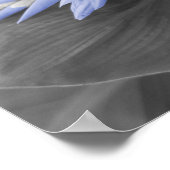 Light Blue Blume Buds Color Splash Foto Poster (Ecke)