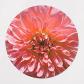 Light Blue Dahlia Blume Etiketten (Design 2)