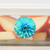 Light Blue Dahlia Blume Etiketten (Befestigt)