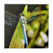 Light Blue Dragonfly Fliese (Vorderseite)