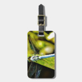 Light Blue Dragonfly Gepäckanhänger (Vorderseite vertikal)